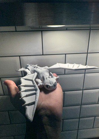 Siyah ve Beyaz 
Ejderha Aksiyon Figürleri - Görsel 10