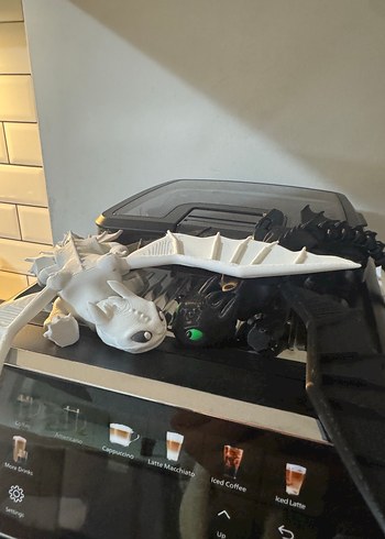 Siyah ve Beyaz 
Ejderha Aksiyon Figürleri - Görsel 5