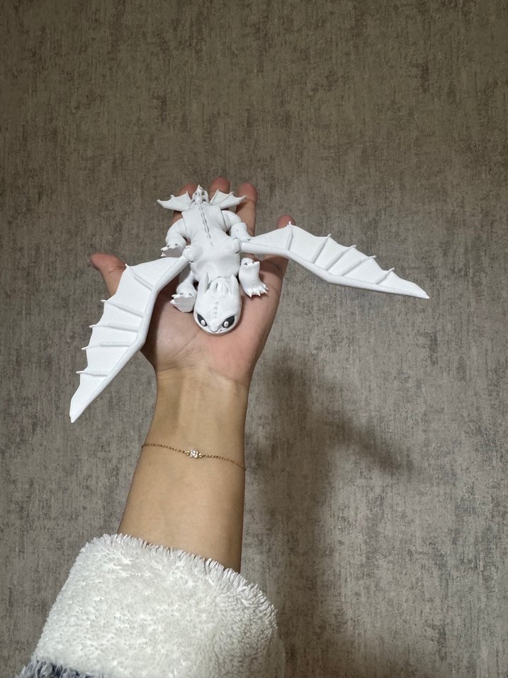 Siyah ve Beyaz 
Ejderha Aksiyon Figürleri - Görsel 2