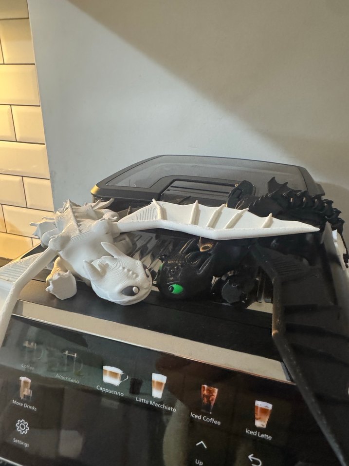 Siyah ve Beyaz 
Ejderha Aksiyon Figürleri - Görsel 5