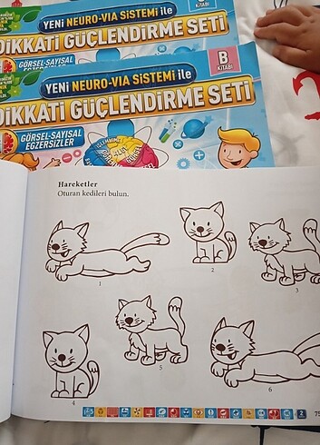  Beden Eğitici kitap