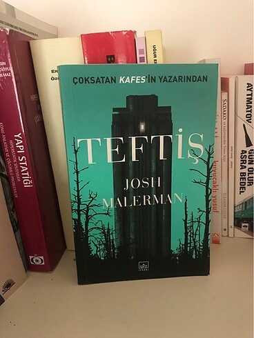 Teftiş Romanı