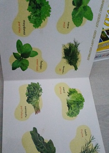 Sebze ve Meyveler - Destekli İlk Kelimelerim Kitabı - Görsel 4