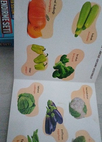 Sebze ve Meyveler - Destekli İlk Kelimelerim Kitabı - Görsel 3
