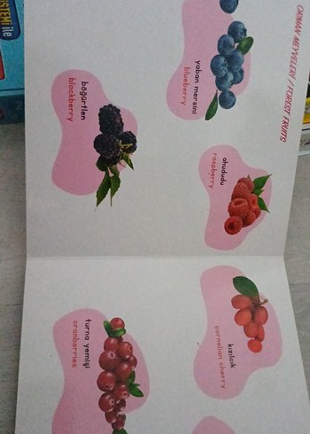 Sebze ve Meyveler - Destekli İlk Kelimelerim Kitabı - Görsel 6