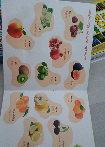 Sebze ve Meyveler - Destekli İlk Kelimelerim Kitabı - Görsel 5
