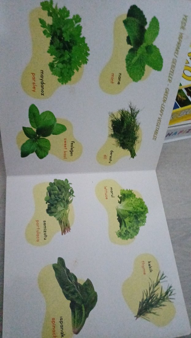 Sebze ve Meyveler - Destekli İlk Kelimelerim Kitabı - Görsel 4