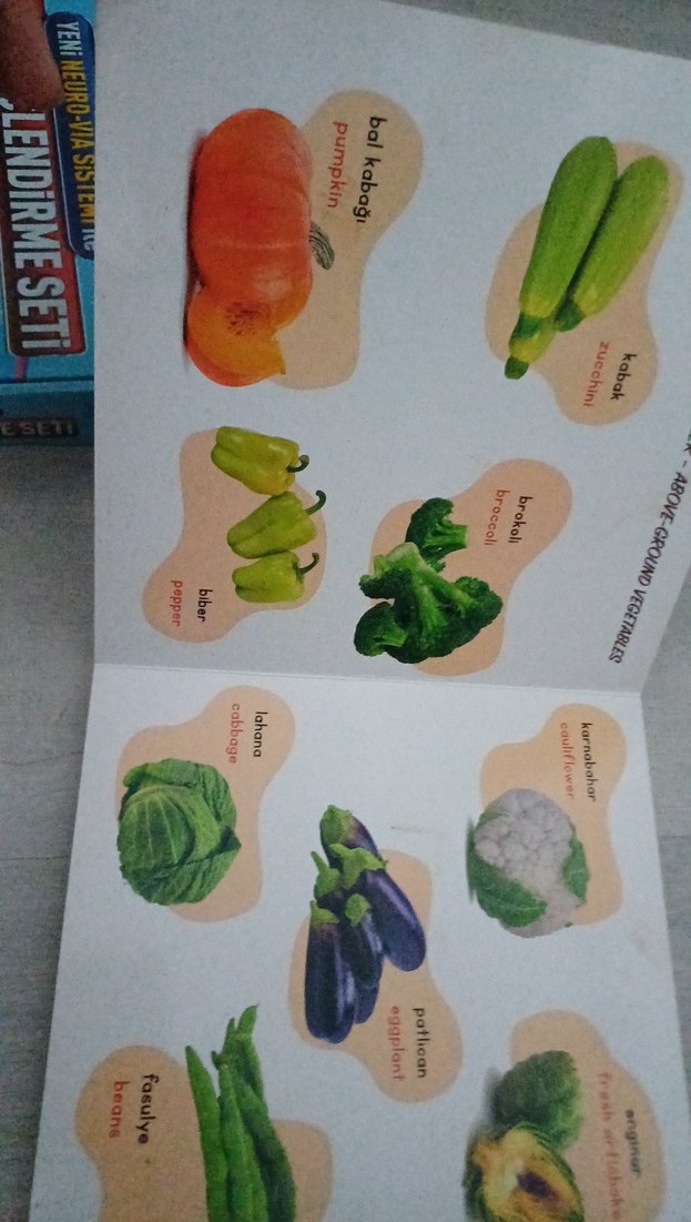 Sebze ve Meyveler - Destekli İlk Kelimelerim Kitabı - Görsel 3