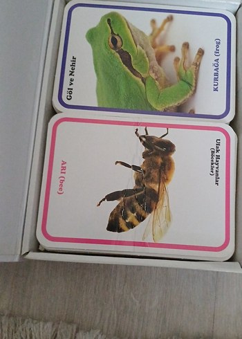 İlk 100 Hayvan - Bebek Zeka Kartları - Görsel 3