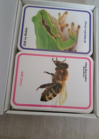 İlk 100 Hayvan - Bebek Zeka Kartları - Görsel 2