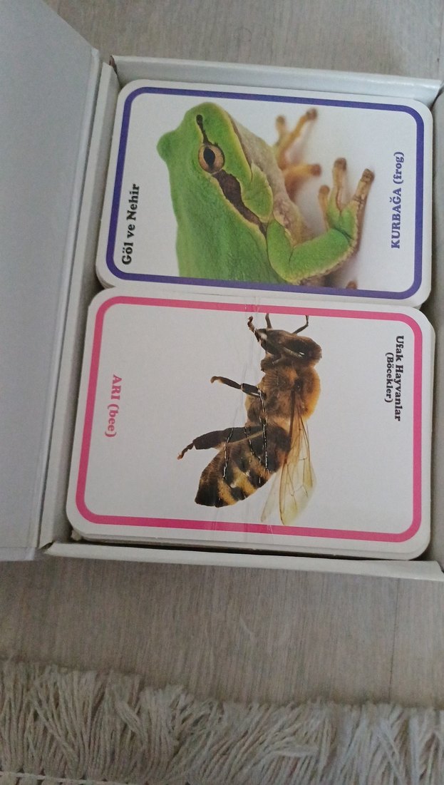 İlk 100 Hayvan - Bebek Zeka Kartları - Görsel 3