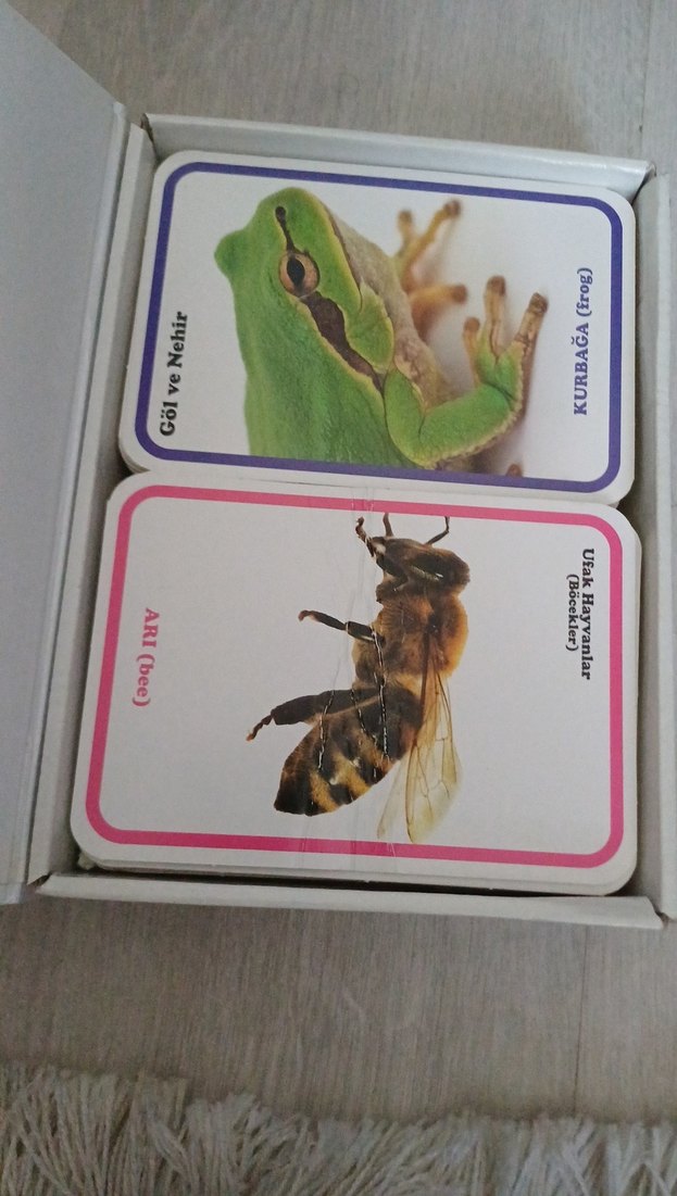 İlk 100 Hayvan - Bebek Zeka Kartları - Görsel 2