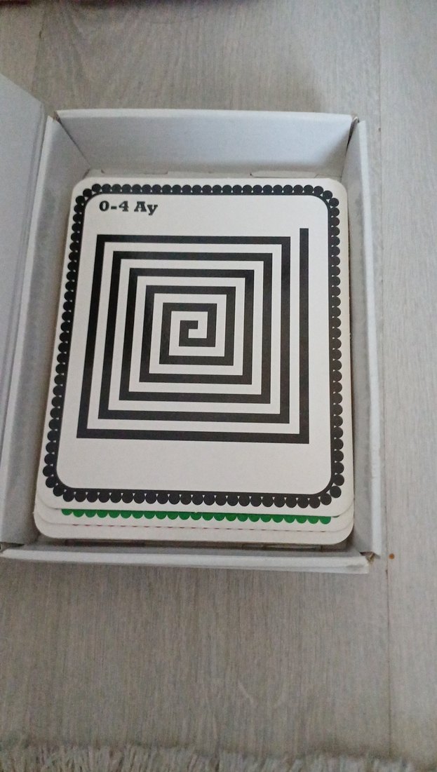 Bebeğimin İlk Zeka Kartları - 0-12 Ay - Görsel 2