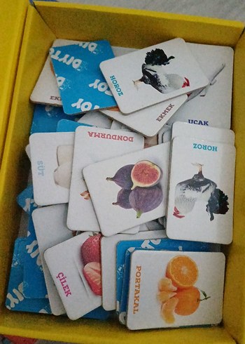 İlk 50 Hafıza Kartı - Çok Renkli Eğitim Oyuncağı - Görsel 4