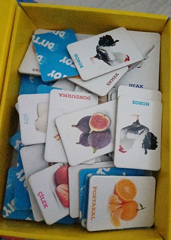 İlk 50 Hafıza Kartı - Çok Renkli Eğitim Oyuncağı - Görsel 3