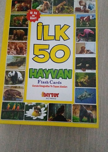 İlk 50 Hayvan Flash Kartları - DIYTOY - Görsel 3