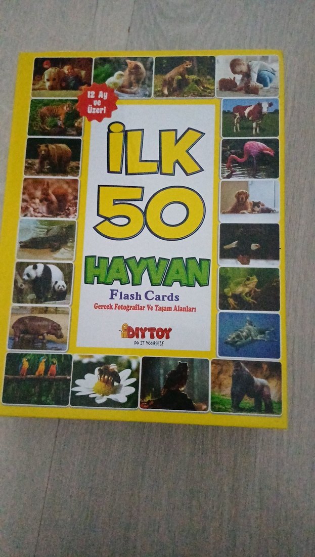 İlk 50 Hayvan Flash Kartları - DIYTOY - Görsel 3