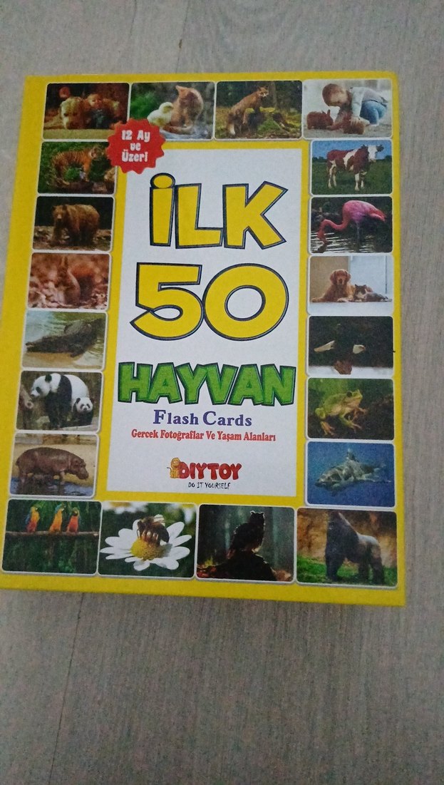 İlk 50 Hayvan Flash Kartları - DIYTOY - Görsel 2