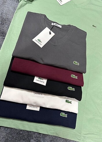 Lacoste erkek tişört 