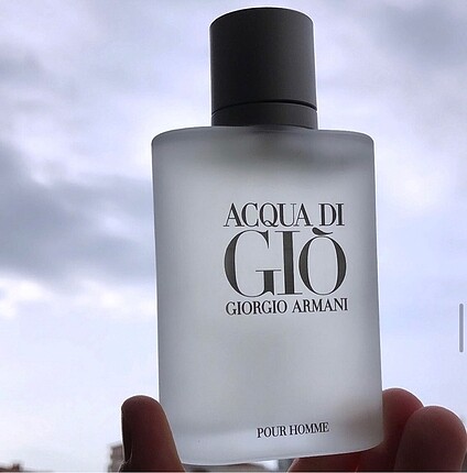 Giorgio Armani Acqua Di Gio Edt 100 ml