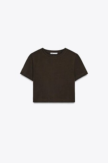 zara crop