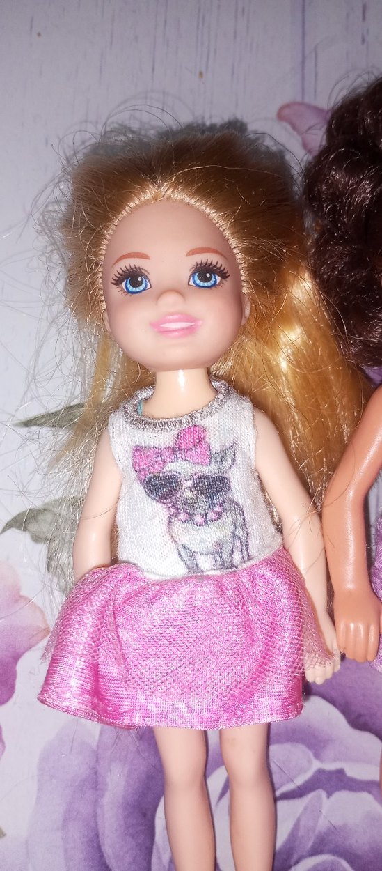 skipper ve Chelsea bebekler - Görsel 5