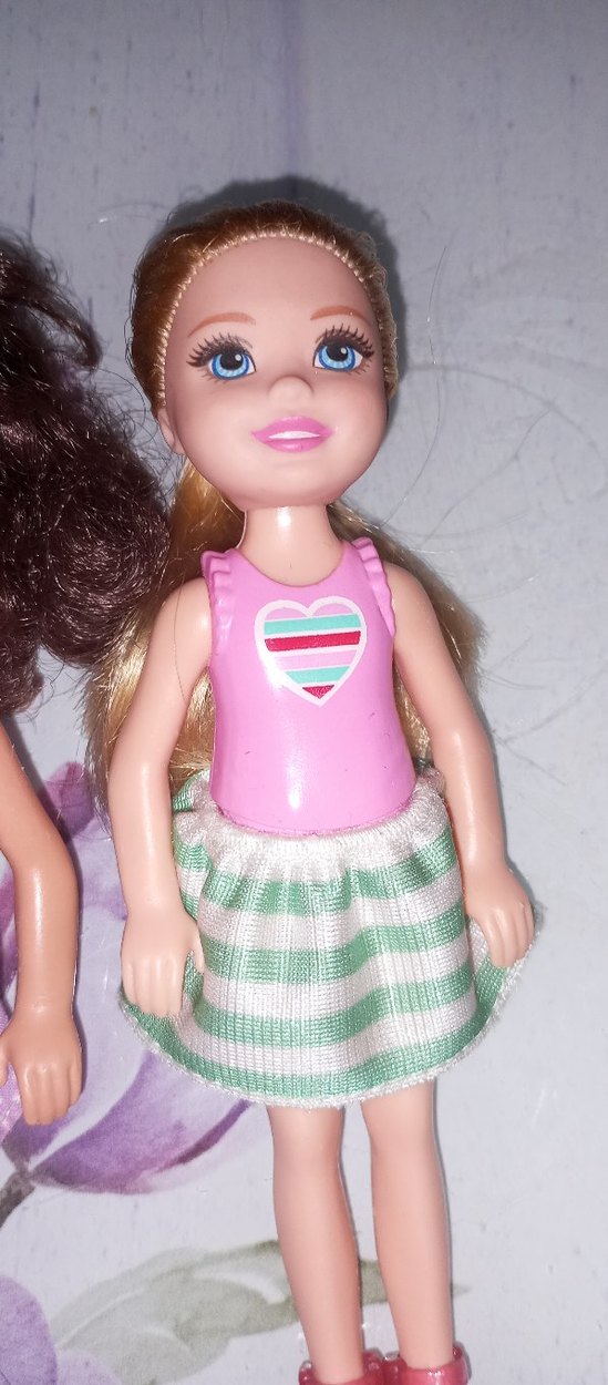 skipper ve Chelsea bebekler - Görsel 3