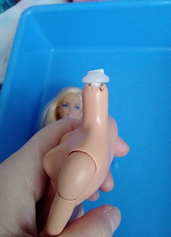 Barbie Barbie mtm ve kafası 