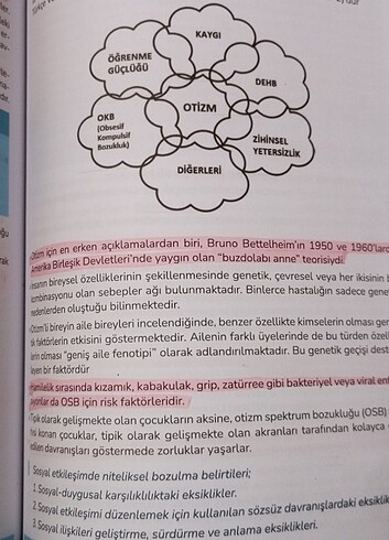 Auzef çocuk gelişimi - Görsel 4