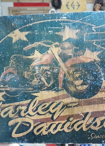 Beden Harley davidson tablo