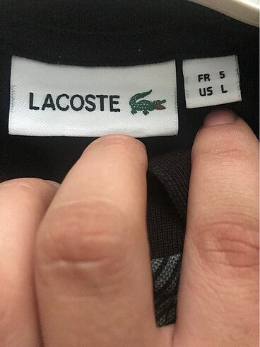 Lacoste erkek yakalı thsrt