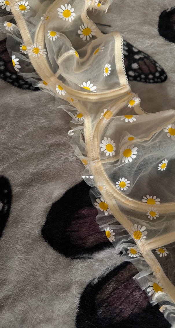 Penti Papatyali Firfirli Sutyen - Görsel 3