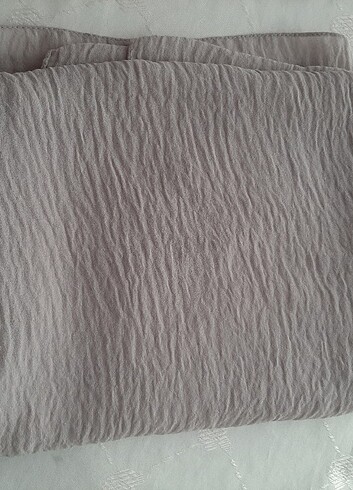 sifon sal