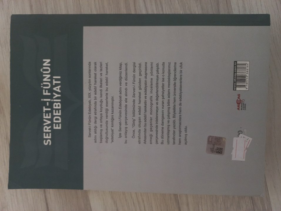 Servet-i Fünun Edebiyatı Kitabı 4. Baskı - Görsel 2