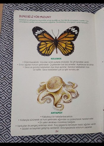 Yüzen Kelebek Çocuk Kitabı - Görsel 5