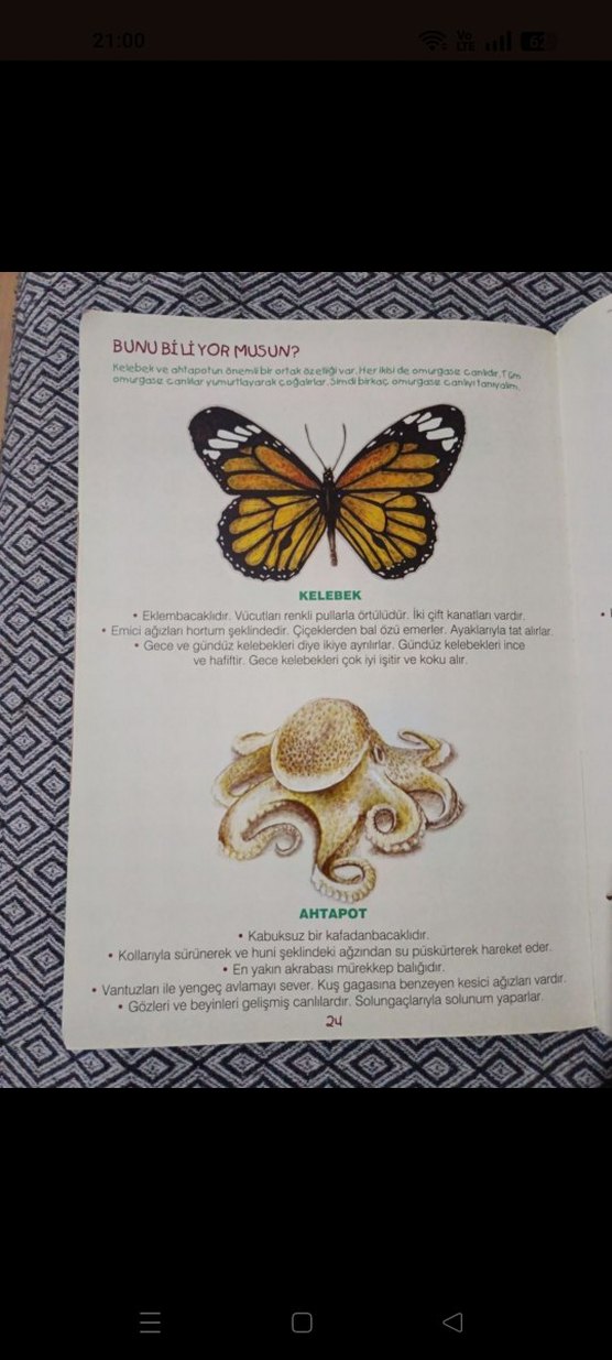 Yüzen Kelebek Çocuk Kitabı - Görsel 5