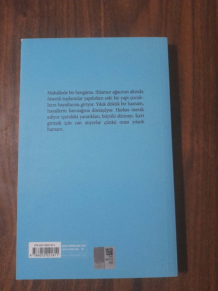 Yılanlı Hamam - Şükran Binark - Görsel 2