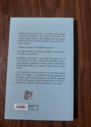 Madam Fortine'nin Sırrı - Oya Çağlar - Görsel 2