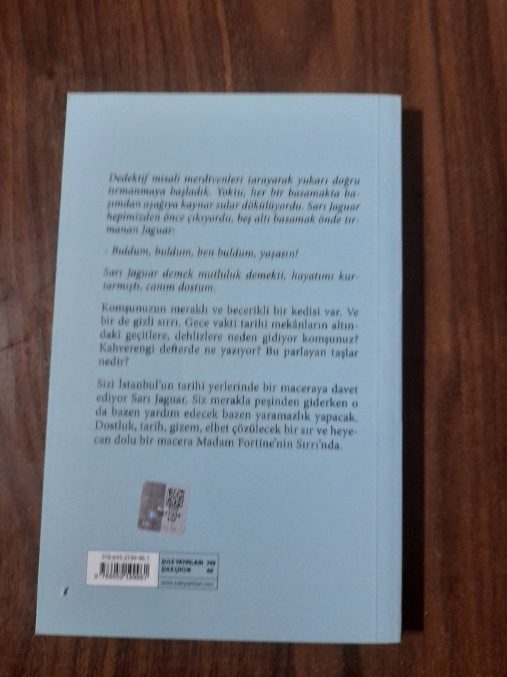 Madam Fortine'nin Sırrı - Oya Çağlar - Görsel 2