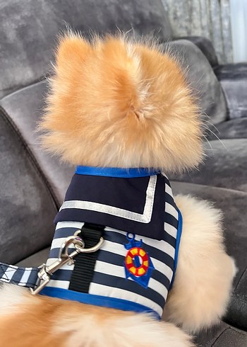 3 Yaş Beden lacivert Renk Köpek göğüs tasması