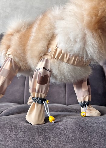 Diğer Köpek ayakkabısı