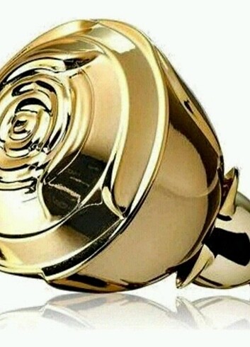  Beden Volare Gold