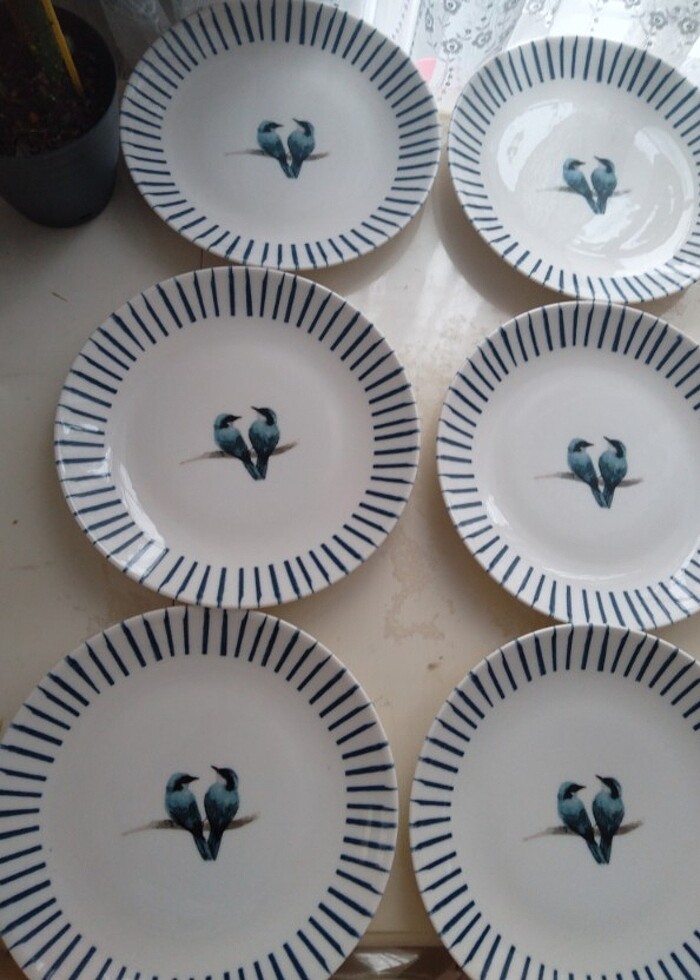 6 adet servis tabağı yeni kullanılmamış - Görsel 2