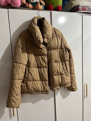 Stradivarius mont