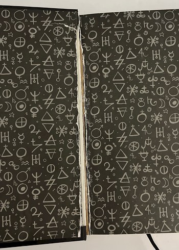 Cadı Avcısı - Virginia Boecker - Görsel 2