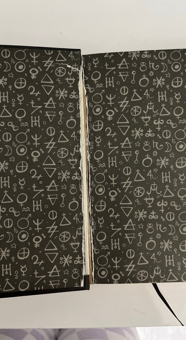 Cadı Avcısı - Virginia Boecker - Görsel 2