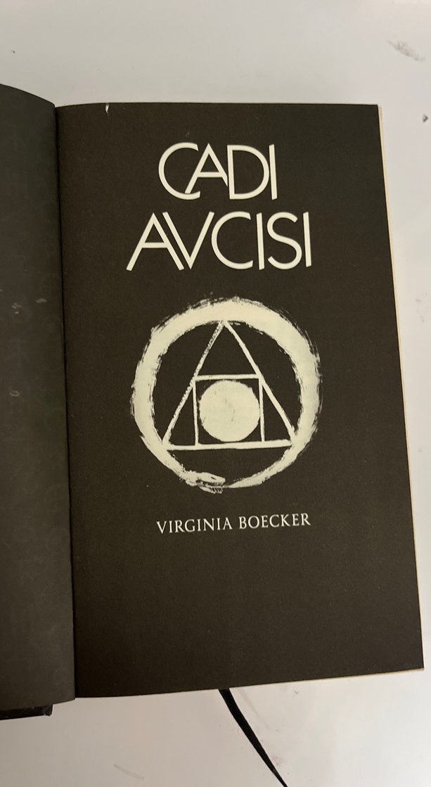 Cadı Avcısı - Virginia Boecker - Görsel 3