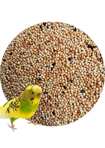 Açık Lüx Karışık Muhabbet Kuş Yemi 1Kg