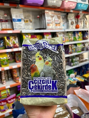 Kuş çekirdeği