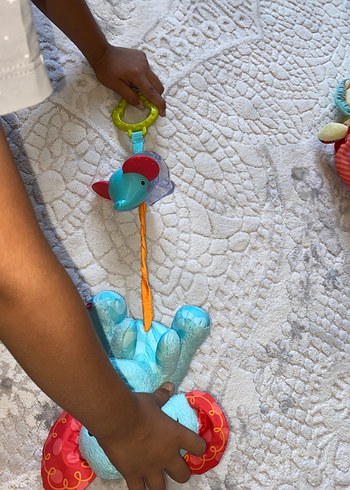 Beden Renk Fisherprice titreşimli çıngıraklı oyuncak-diş kaşıyıcı filailesi